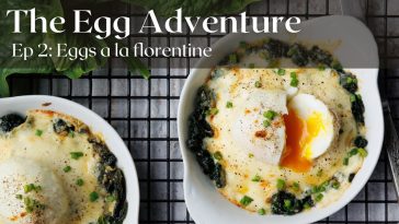 The Egg Aventure - Ep 2 : Eggs a la Florentine