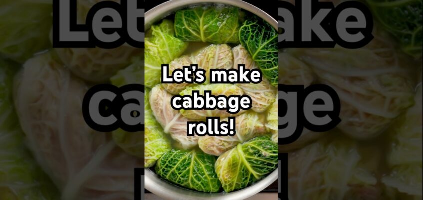 Gingery Cabbage Rolls With Pork and Rice. Full recipe in the description! #recipe #shorts