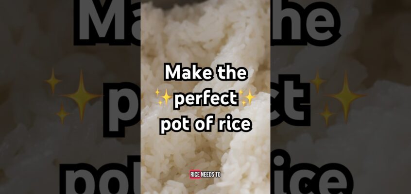 How to make the ✨perfect✨ pot of rice. #shorts
