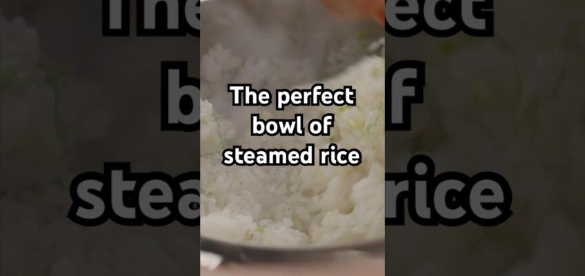 New video out now! #shorts