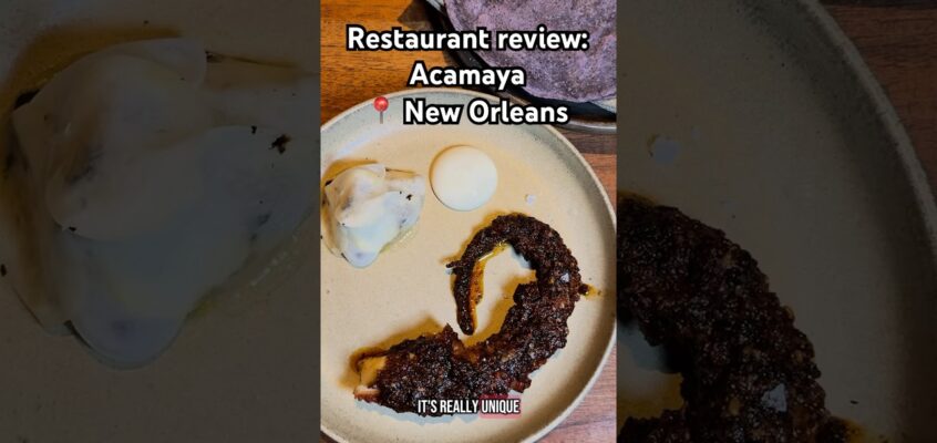 Read Tejal’s full review of Acamaya on NYTimes.com #shorts #review